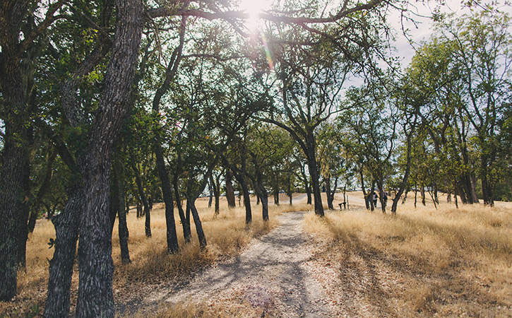 Atascadero Outdoors