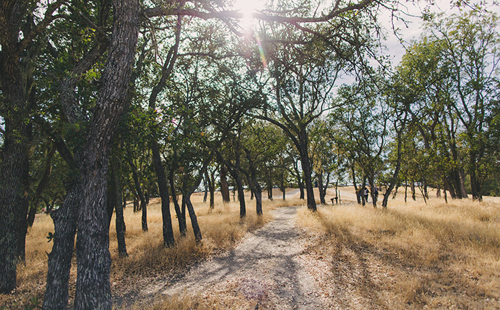 Atascadero Outdoors