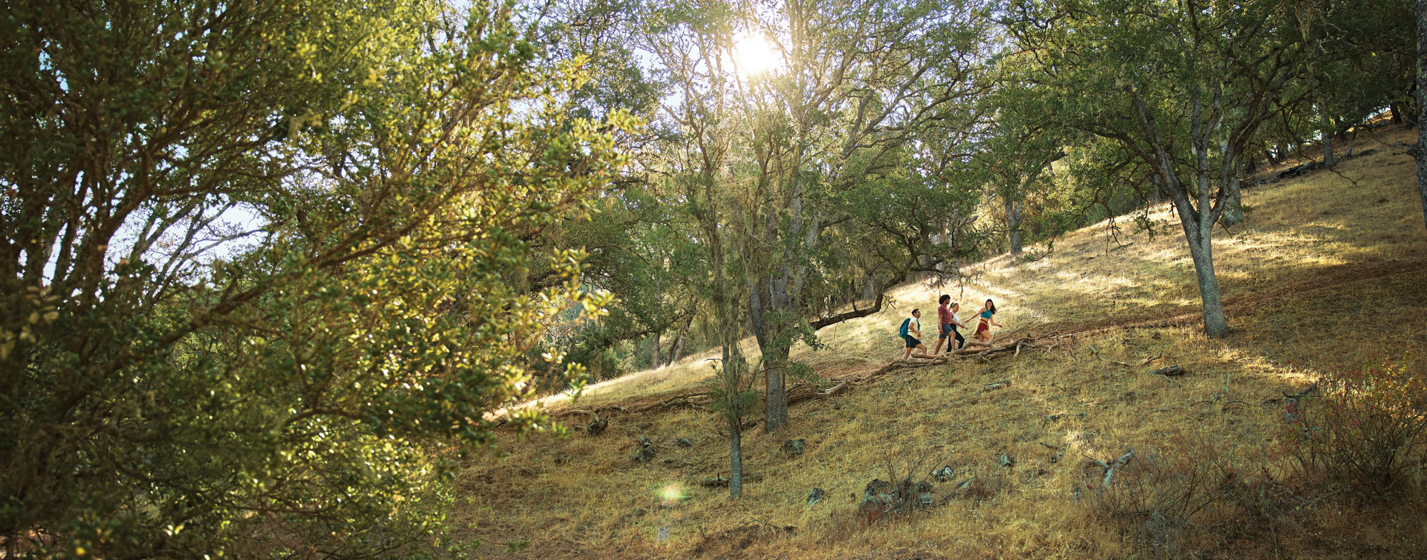 Hiking in Atascadero, California