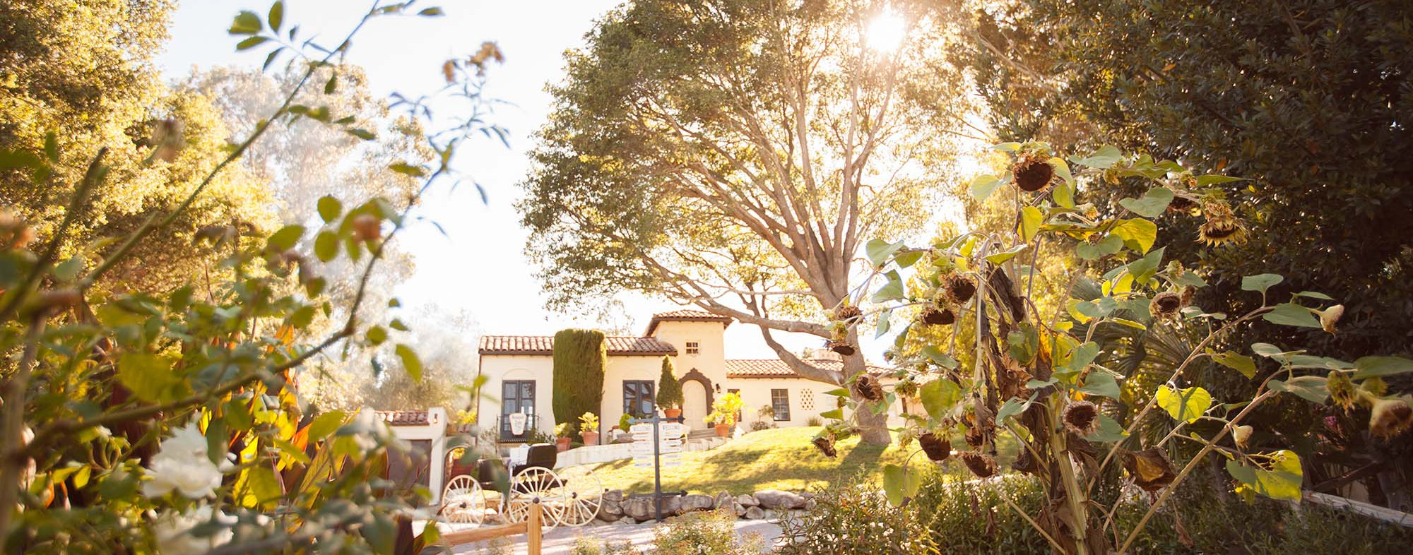 Bed & Breakfasts