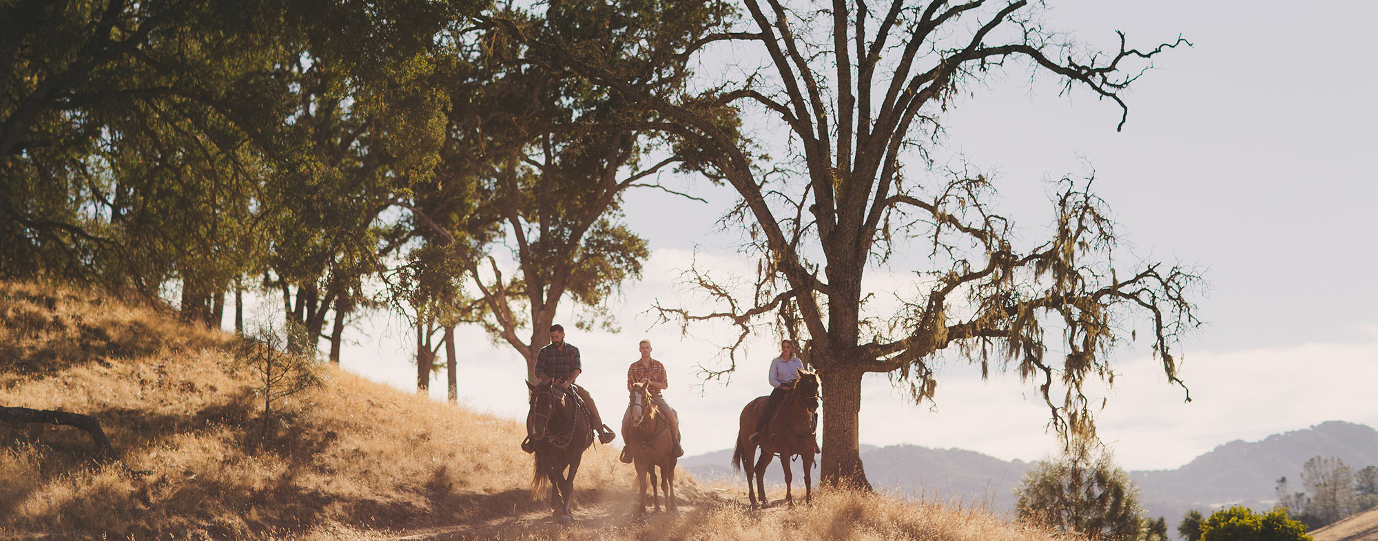 People riding horseback in the hills of Atascadero CA