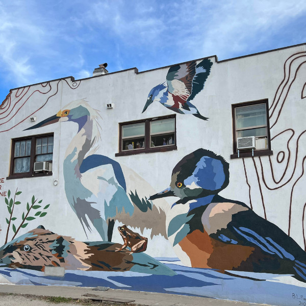 Large outdoor mural featuring a great blue heron, kingfisher, hooded merganser, fish, and frog, with the words "Nature Is for Everyone" painted on the side of a white building.
