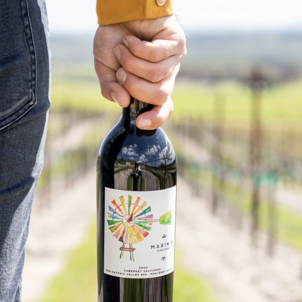 Marin's Vineyard