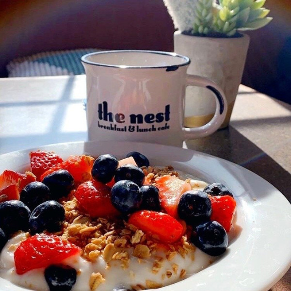 The Nest