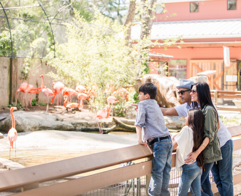 Central Coast Zoo Events