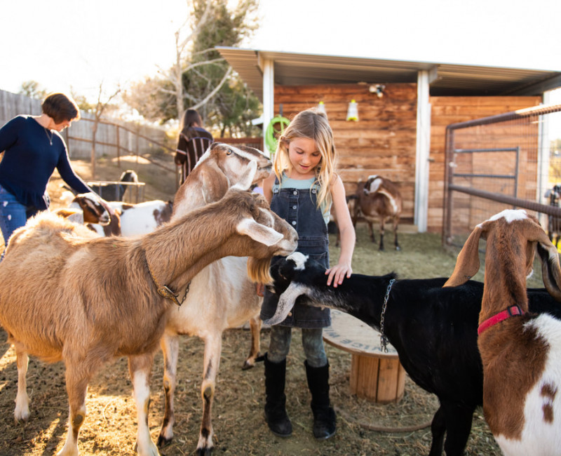 Shady Oaks Farm