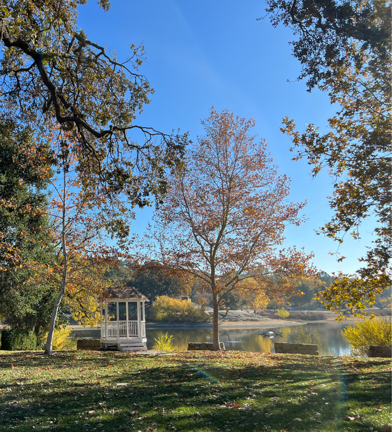 Atascadero Lake Park in the winter