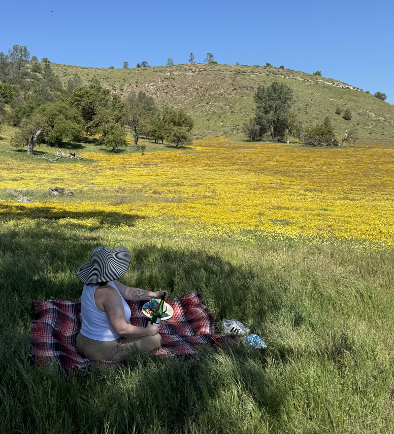 A woman having a picnic beside a field of wildflowers outside Atascadero, California