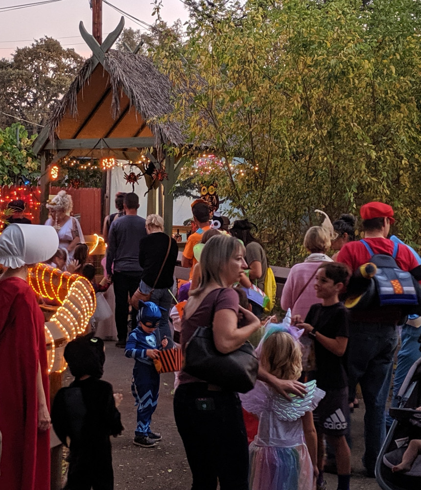 Children and adults in costume exploring the Central Coast Zoo during a festive Zoo Boo event.