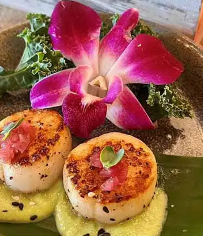 scallop